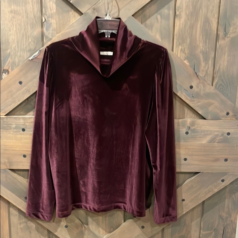 Velvet Long Sleeve Top in Rich Burgundy